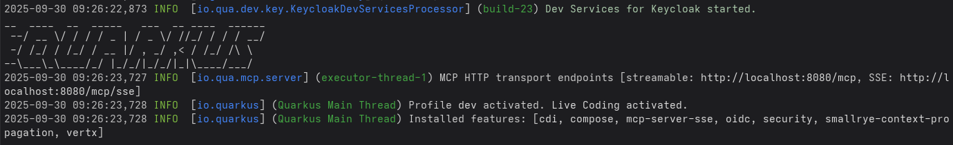 MCP server dev mode