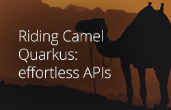 Riding Camel Quarkus: effortless APIs image